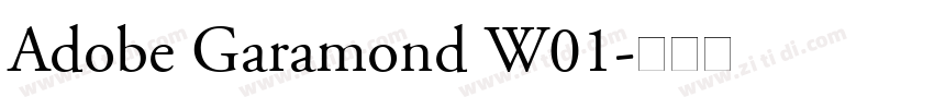 Adobe Garamond W01字体转换